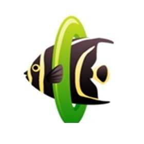 Green Ring Angelfish